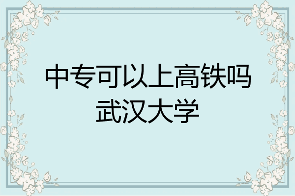 中专可以上高铁吗武汉大学
