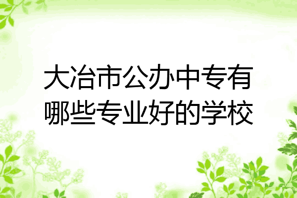 大冶市公办中专有哪些专业好的学校