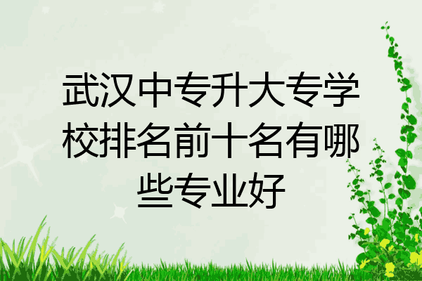 武汉中专升大专学校排名前十名有哪些专业好