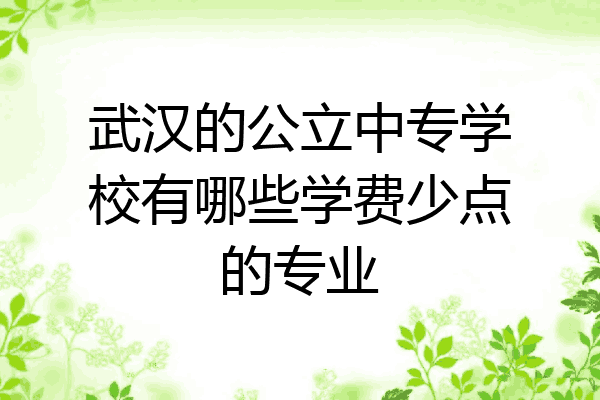 武汉的公立中专学校有哪些学费少点的专业