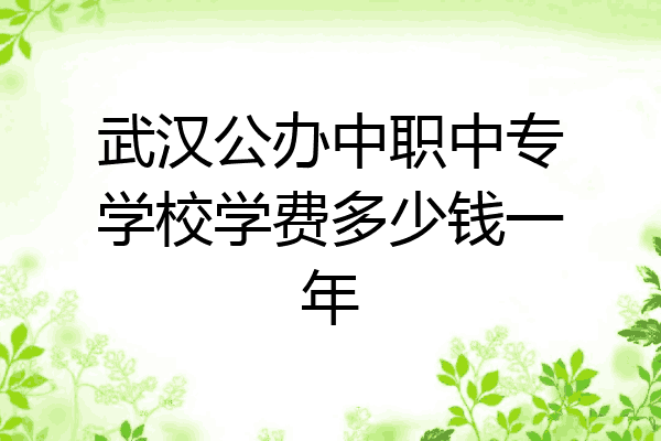 武汉公办中职中专学校学费多少钱一年
