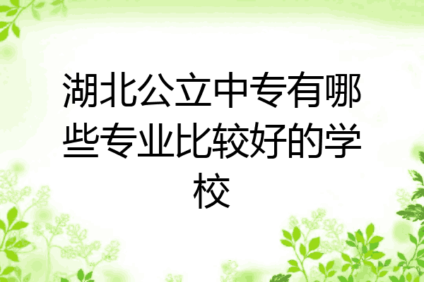 湖北公立中专有哪些专业比较好的学校