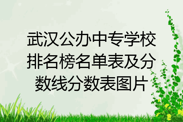 武汉公办中专学校排名榜名单表及分数线分数表图片