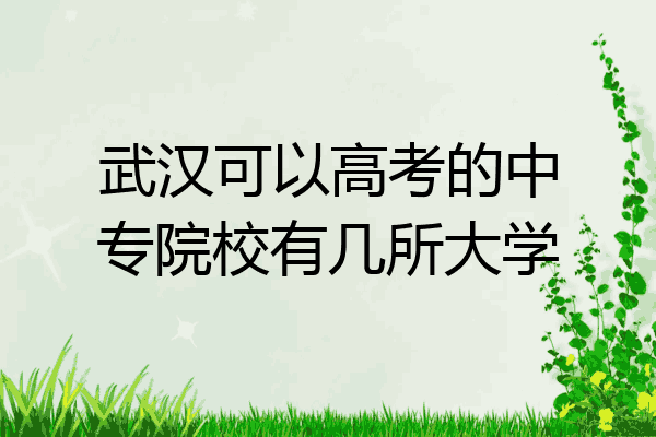 武汉可以高考的中专院校有几所大学