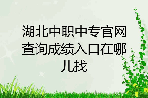 湖北中职中专官网查询成绩入口在哪儿找