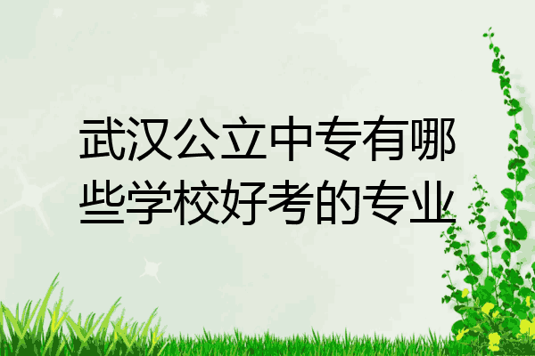 武汉公立中专有哪些学校好考的专业
