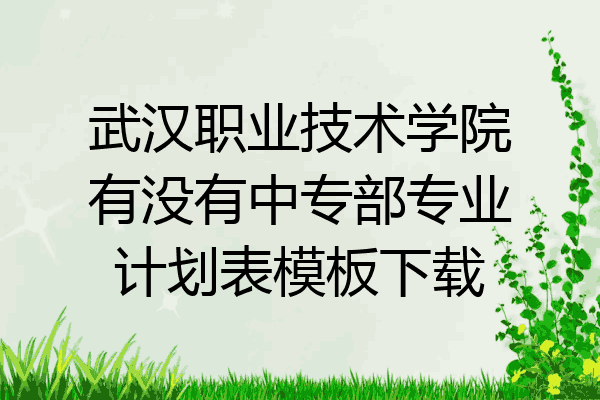 武汉职业技术学院有没有中专部专业计划表模板下载
