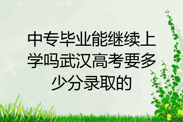 中专毕业能继续上学吗武汉高考要多少分录取的