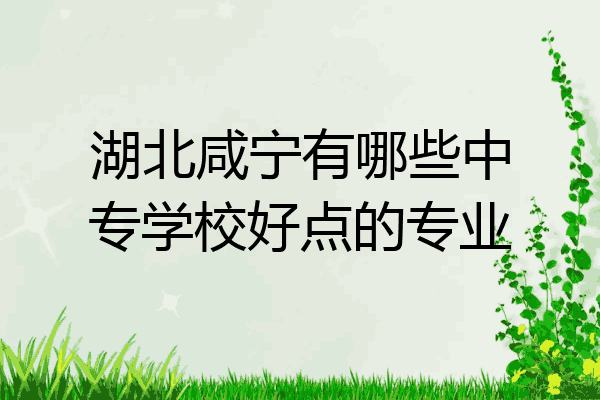 湖北咸宁有哪些中专学校好点的专业