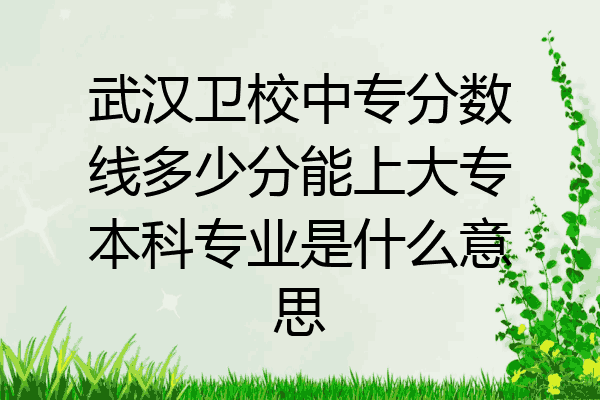 武汉卫校中专分数线多少分能上大专本科专业是什么意思