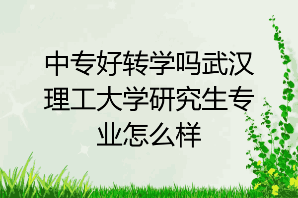 中专好转学吗武汉理工大学研究生专业怎么样
