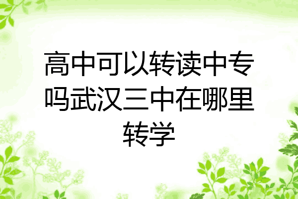 高中可以转读中专吗武汉三中在哪里转学