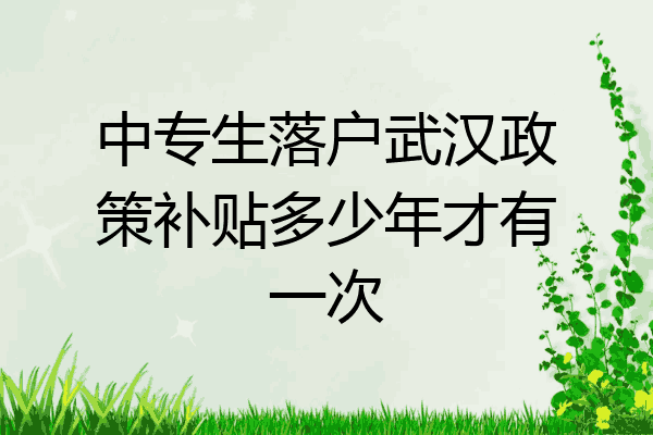 中专生落户武汉政策补贴多少年才有一次