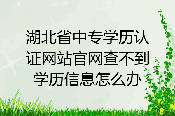 湖北省中专学历认证网站官网查不到学历信息怎么办