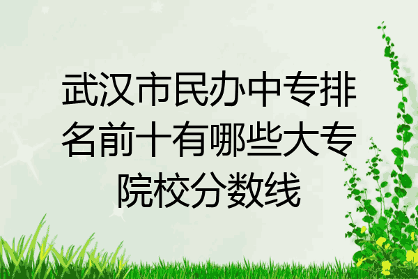 武汉市民办中专排名前十有哪些大专院校分数线