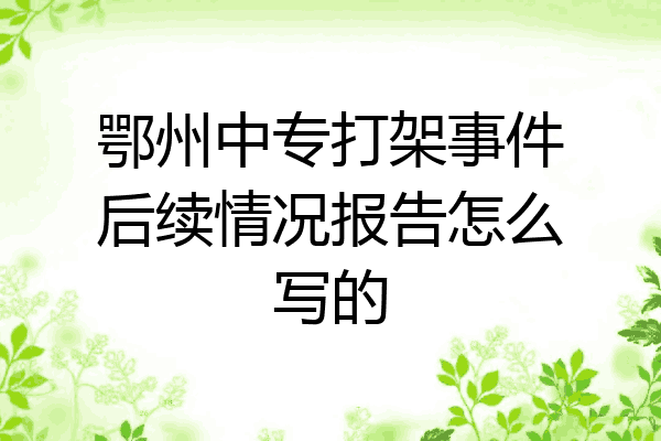 鄂州中专打架事件后续情况报告怎么写的
