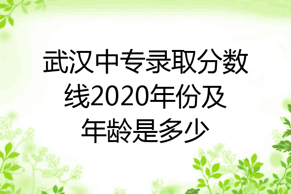 武汉中专录取分数线2020年份及年龄是多少