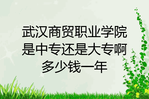 武汉商贸职业学院是中专还是大专啊多少钱一年