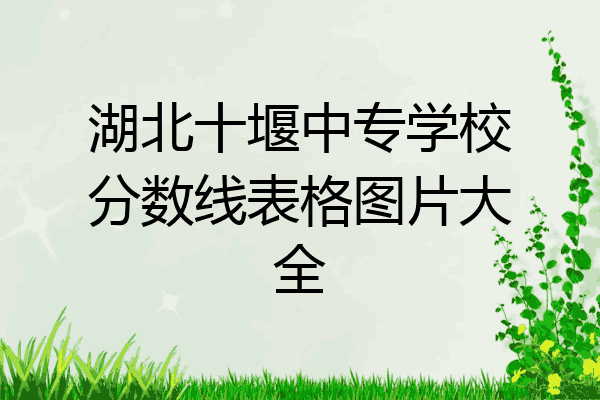 湖北十堰中专学校分数线表格图片大全