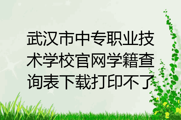 武汉市中专职业技术学校官网学籍查询表下载打印不了