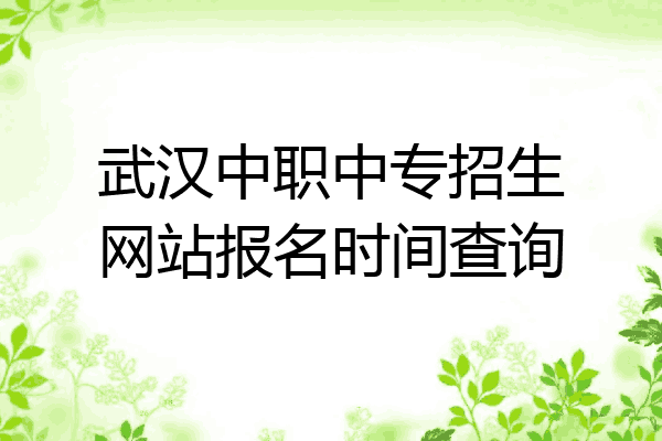 武汉中职中专招生网站报名时间查询
