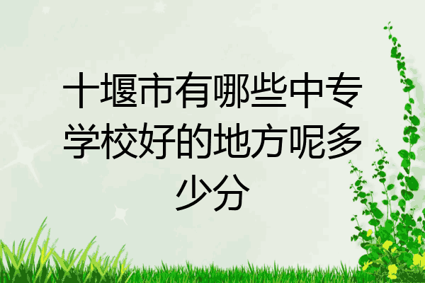 十堰市有哪些中专学校好的地方呢多少分