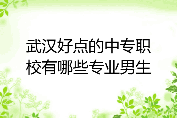 武汉好点的中专职校有哪些专业男生