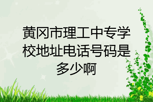 黄冈市理工中专学校地址电话号码是多少啊