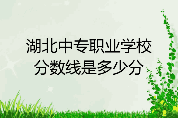 湖北中专职业学校分数线是多少分