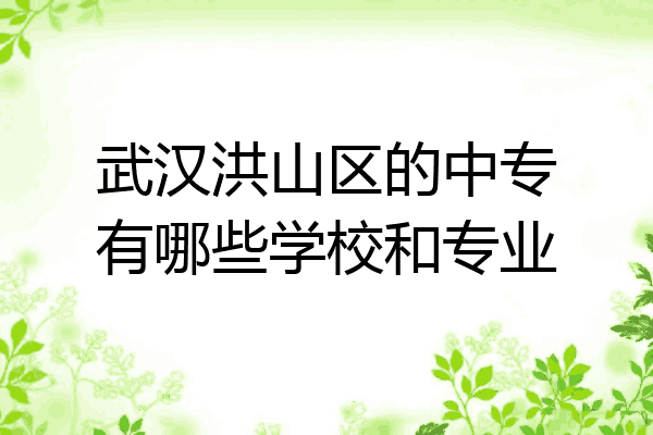 武汉洪山区的中专有哪些学校和专业