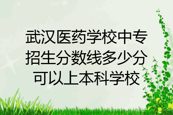 武汉医药学校中专招生分数线多少分可以上本科学校