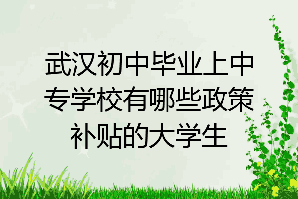 武汉初中毕业上中专学校有哪些政策补贴的大学生