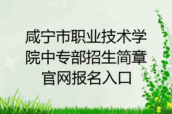 咸宁市职业技术学院中专部招生简章官网报名入口