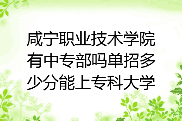 咸宁职业技术学院有中专部吗单招多少分能上专科大学