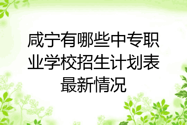咸宁有哪些中专职业学校招生计划表最新情况