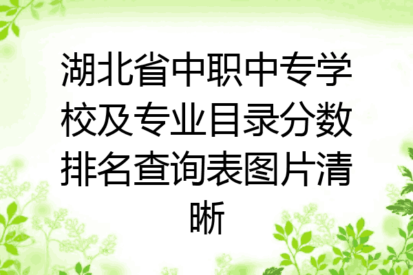 湖北省中职中专学校及专业目录分数排名查询表图片清晰