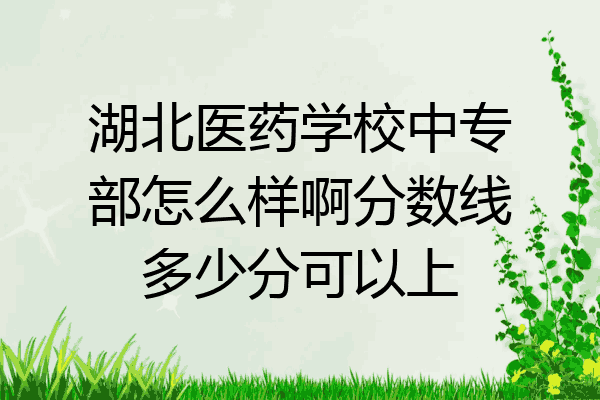 湖北医药学校中专部怎么样啊分数线多少分可以上