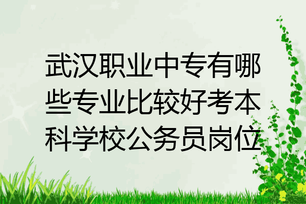 武汉职业中专有哪些专业比较好考本科学校公务员岗位