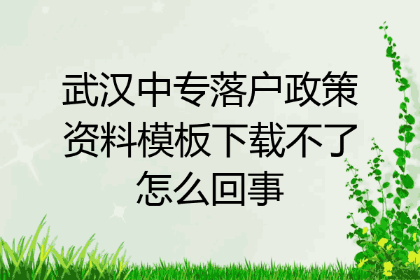 武汉中专落户政策资料模板下载不了怎么回事