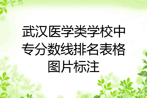 武汉医学类学校中专分数线排名表格图片标注