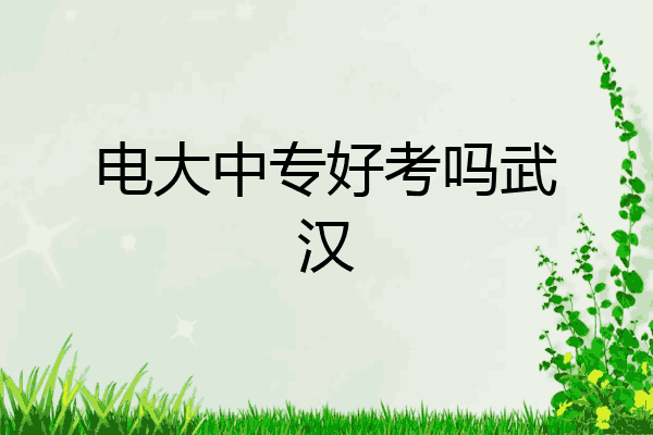 电大中专好考吗武汉