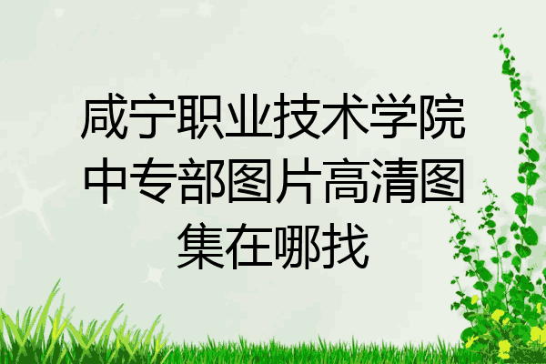 咸宁职业技术学院中专部图片高清图集在哪找
