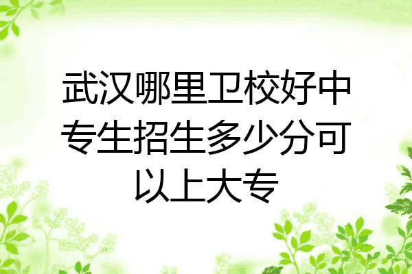 武汉哪里卫校好中专生招生多少分可以上大专
