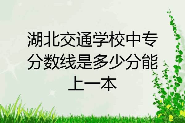湖北交通学校中专分数线是多少分能上一本
