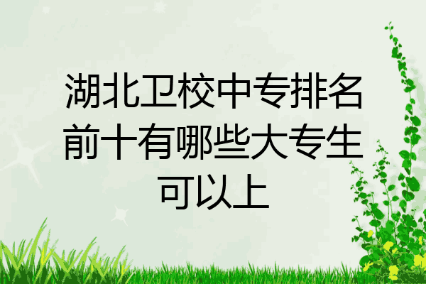 湖北卫校中专排名前十有哪些大专生可以上