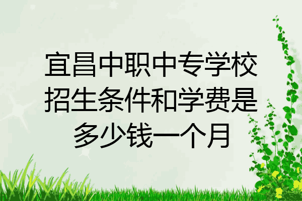 宜昌中职中专学校招生条件和学费是多少钱一个月