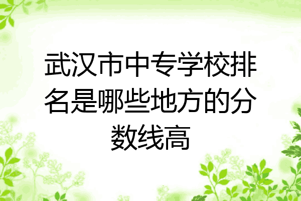 武汉市中专学校排名是哪些地方的分数线高