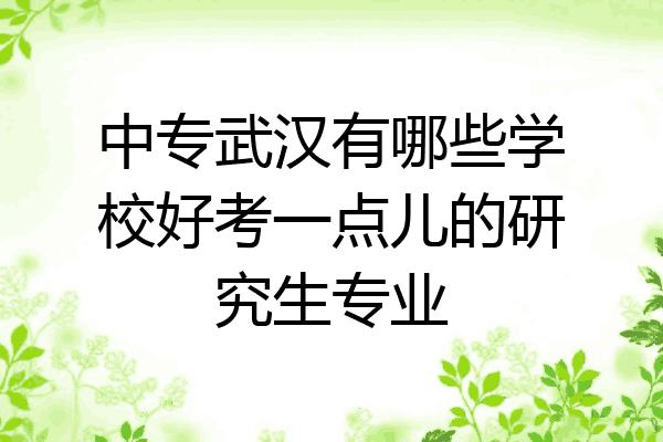 中专武汉有哪些学校好考一点儿的研究生专业