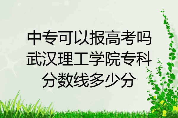 中专可以报高考吗武汉理工学院专科分数线多少分