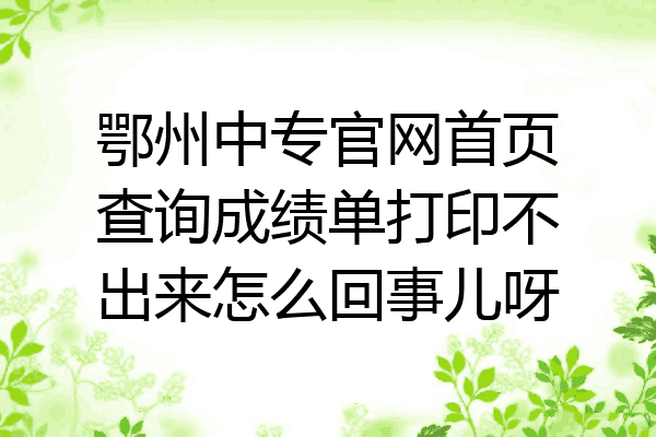 鄂州中专官网首页查询成绩单打印不出来怎么回事儿呀